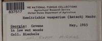 Image Associated With the Occurence
